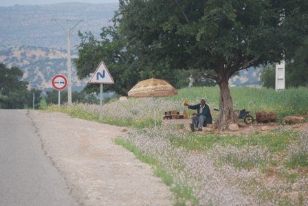 Sur la route de Souira-Kédima