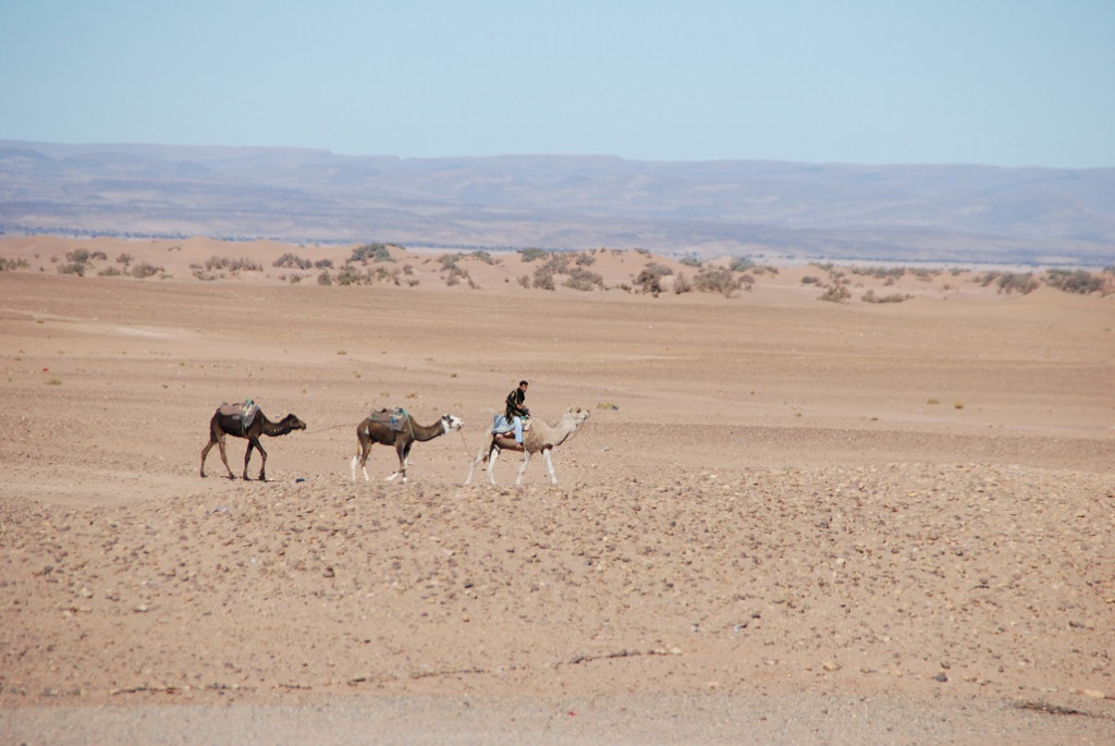 Maroc 2014_636.jpg